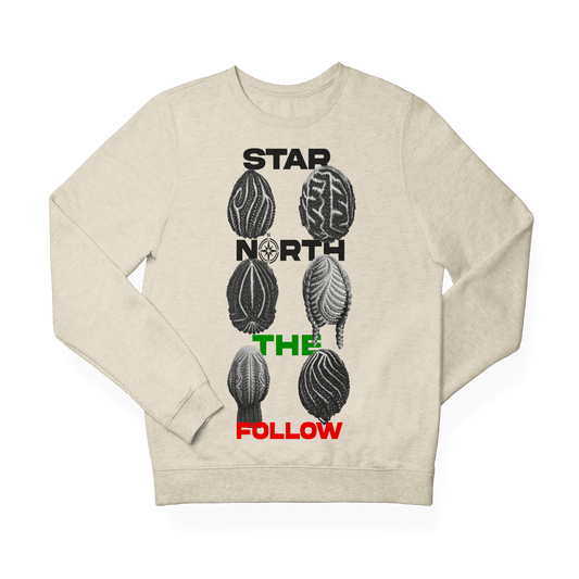 North Star